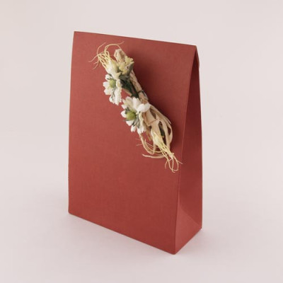 SACA BORDEAUX ENVELOPE Nº4