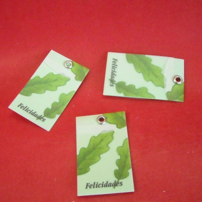 CARTãO DEDIC. C/ FOLHAS...