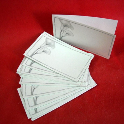 CARTãO DD BRANCO C/ JARROS