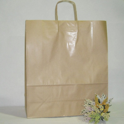 SACO PAPEL KRAFT 42X16X50...