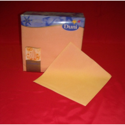 GUARDANAPO DUNI TNT 40X40...