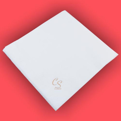 GUARDANAPO Ponto por Ponto...