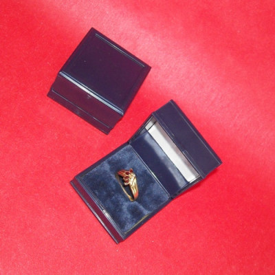 ESTOJO PLAST. AZUL Nº1 ANEL